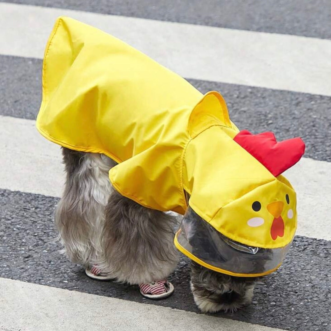 Impermeable con diseño de pollo