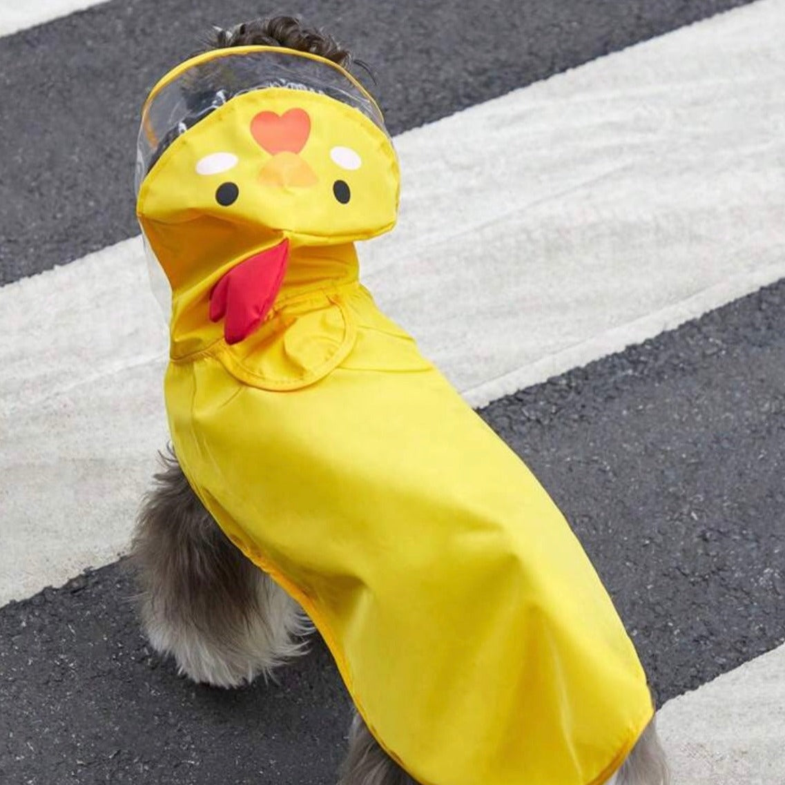 Impermeable con diseño de pollo